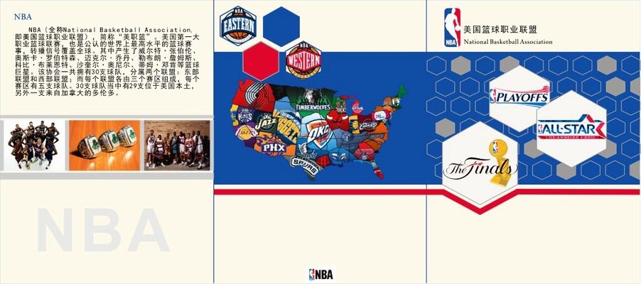 在NBA整 在NBA整
