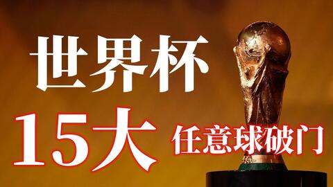 尤其是他的 尤其是他的