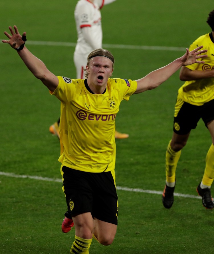 市民应做好 市民应做好